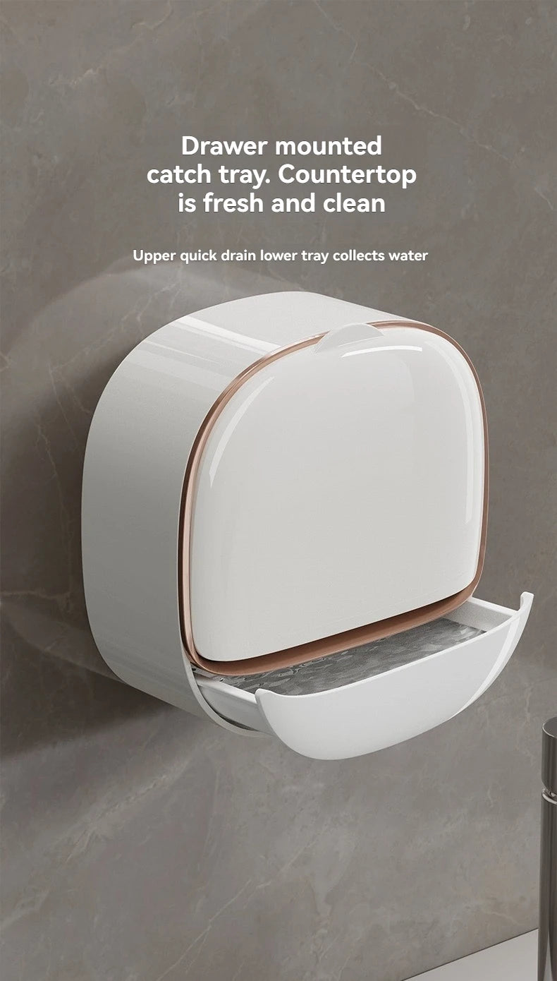 Wall-Mounted Soap Case